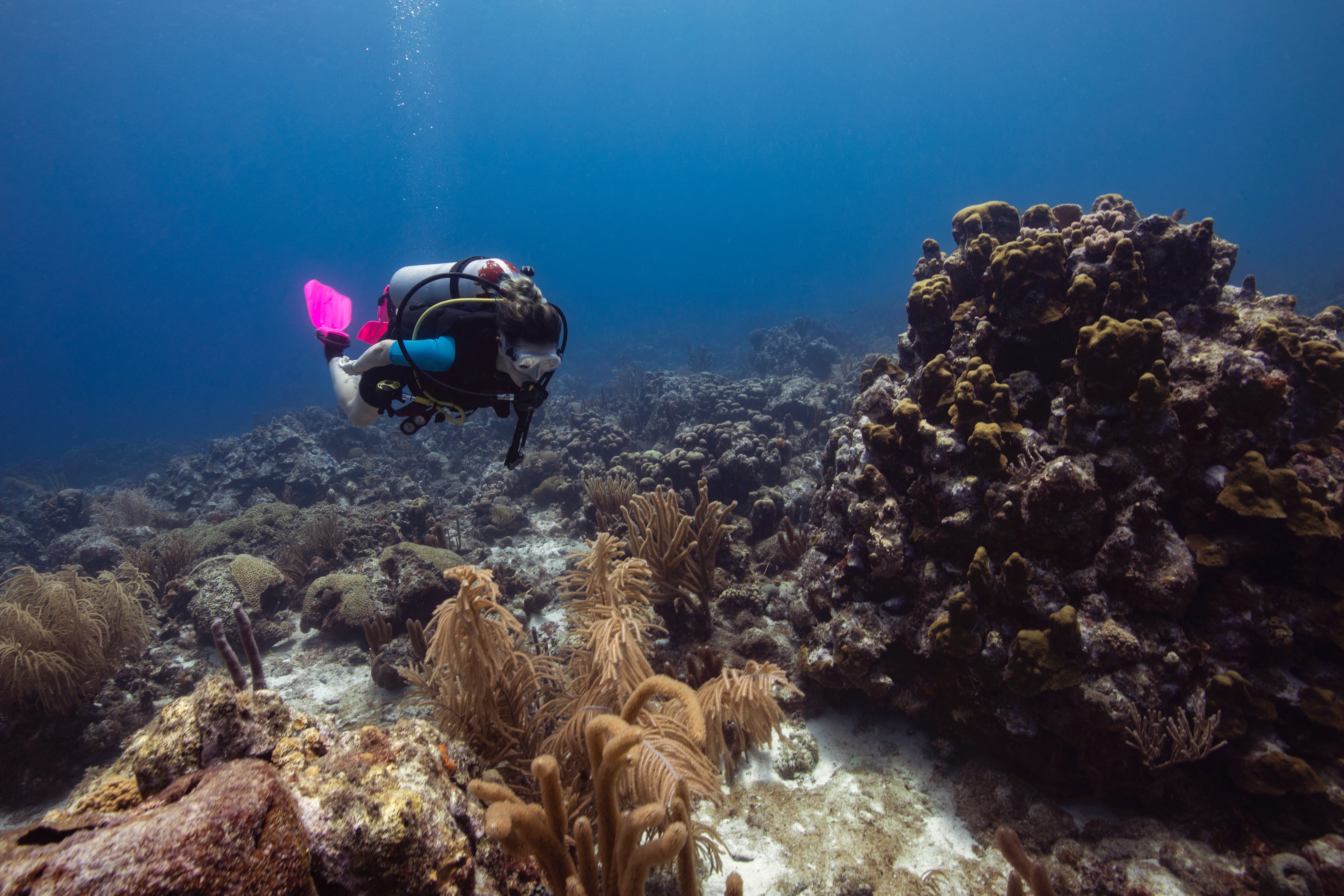 Búvár korallzátonnyal a dél-karibi Curaçao szigete körül