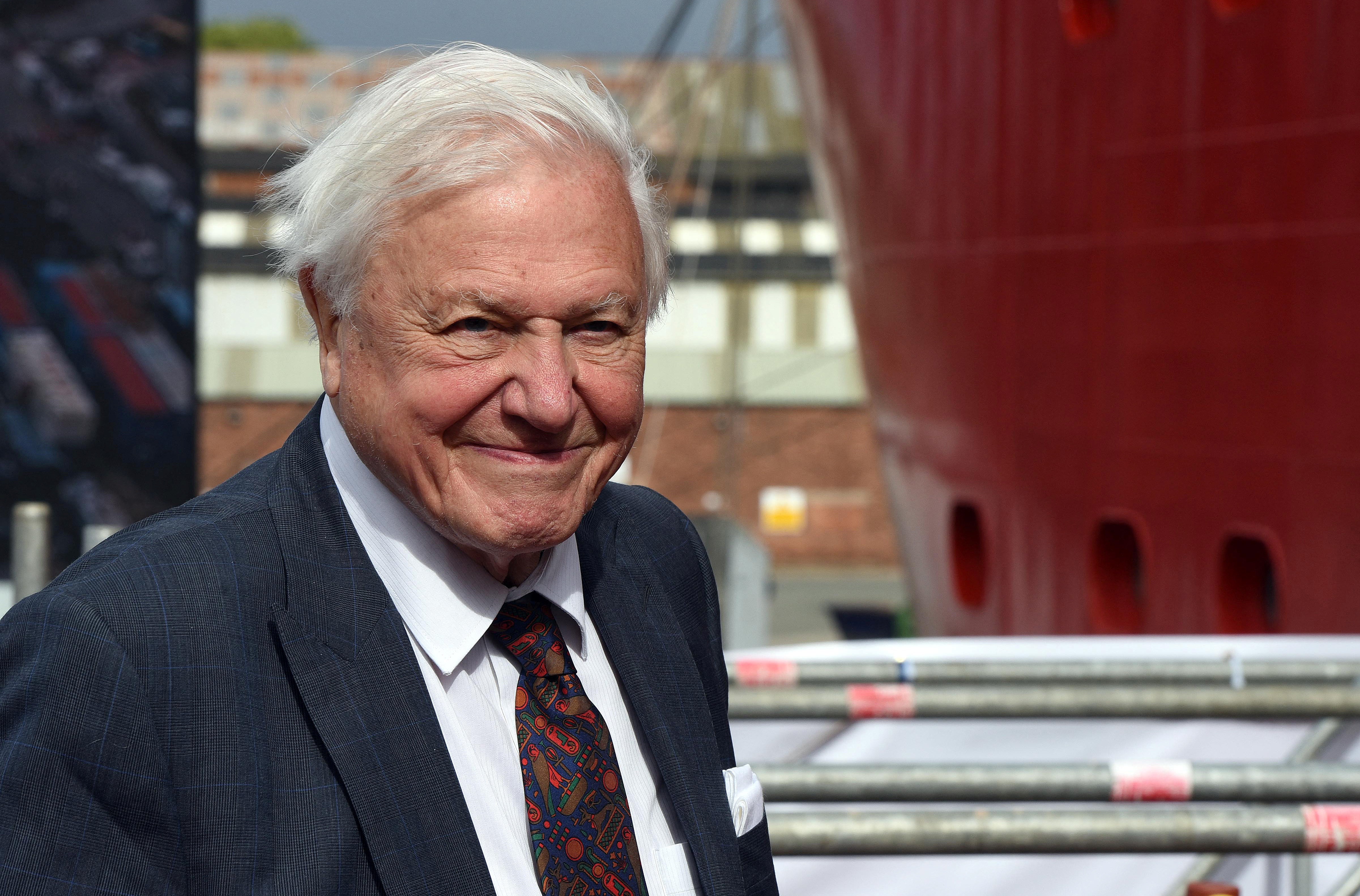 David Attenborough-t a Föld bajnokává választotta az ENSZ