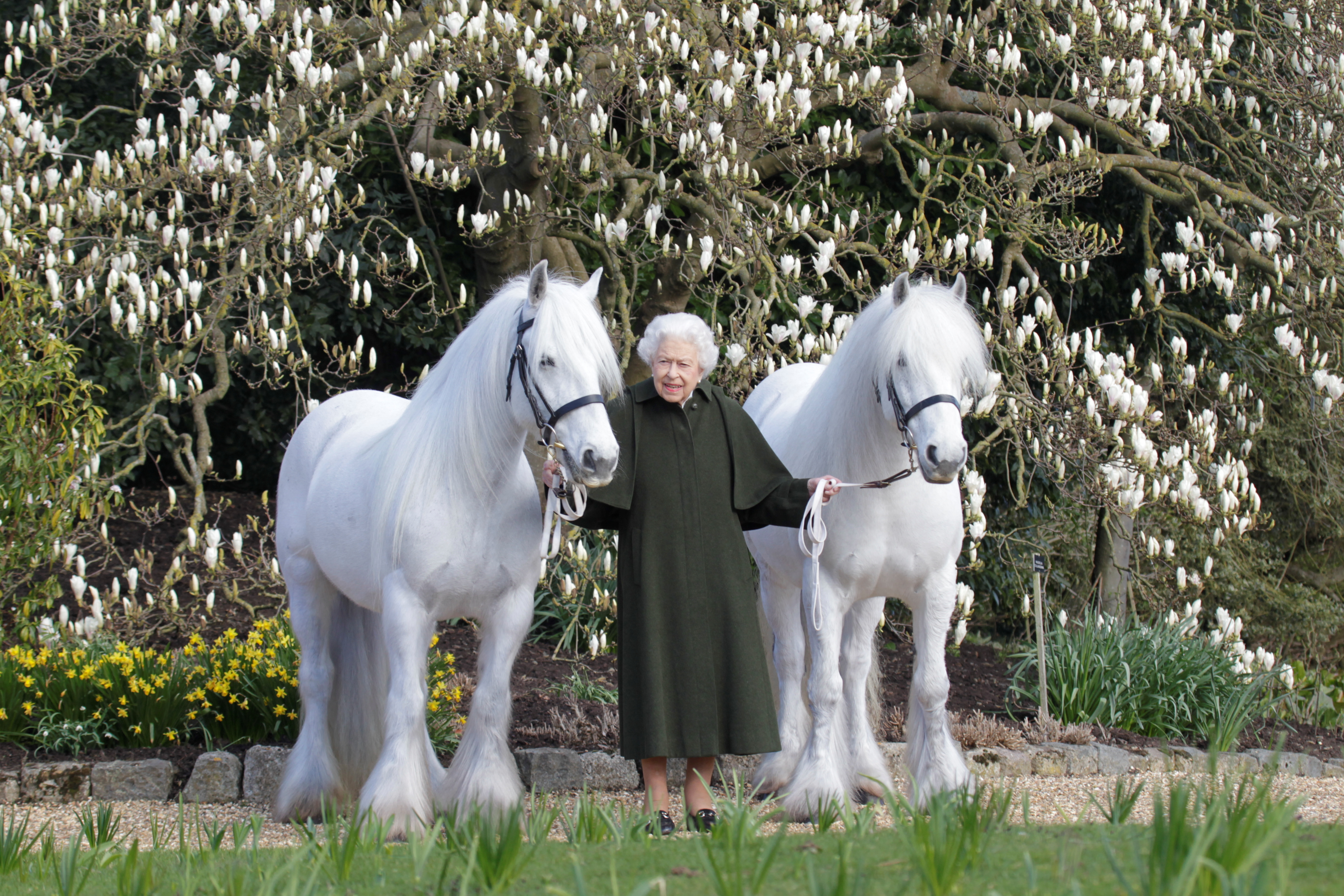 Vezetőszáron ragadott két fell pónit a 96. születésnapján az angol királynő