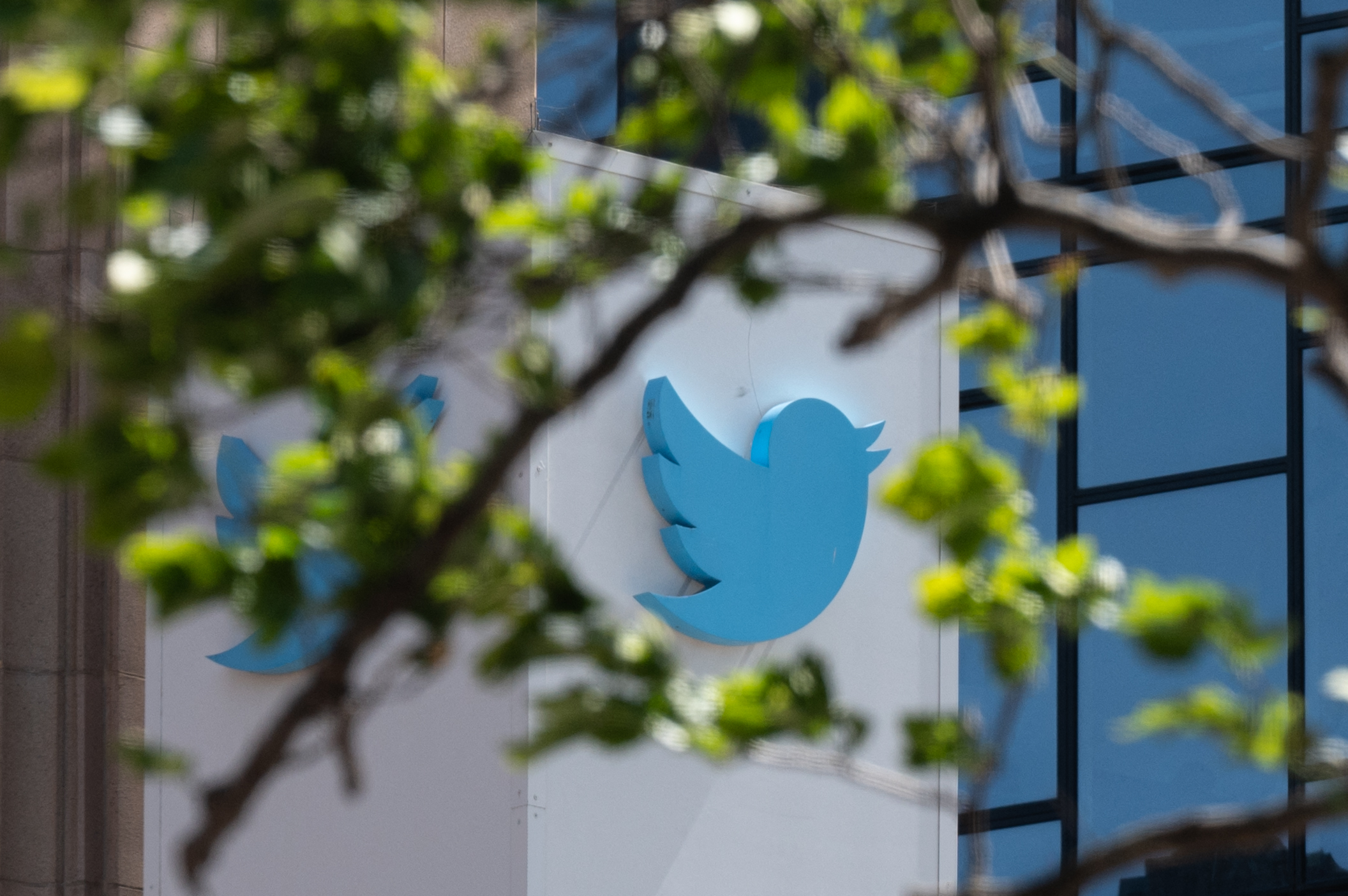 A Twitter elbocsátott biztonsági főnöke szerint külföldi hírszerzők dolgoznak a cégnél