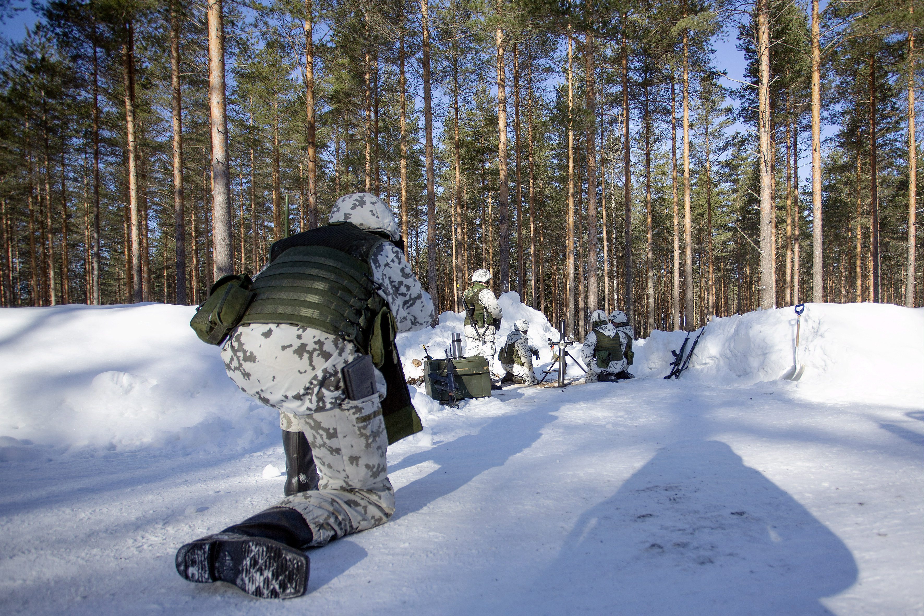Ütőképes hadseregekkel erősödik a NATO a finnek és a svédek csatlakozásával