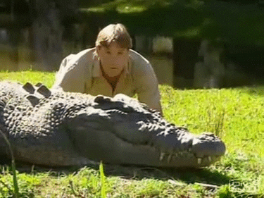 Az életéért birkózott egy krokodillal egy ausztrál turista