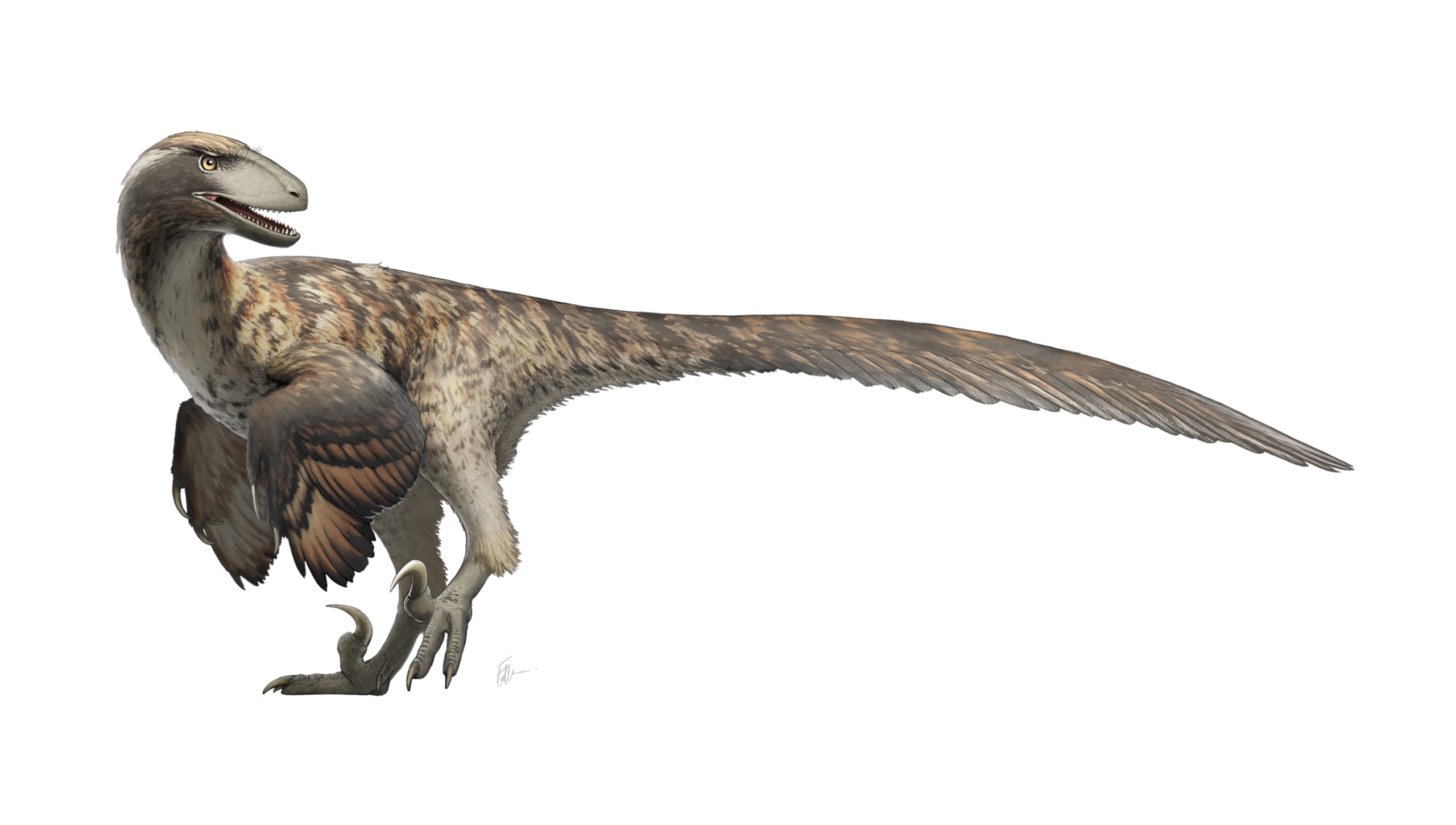 Már a legelső dinoszauruszok és pteroszauruszok is melegvérűek voltak