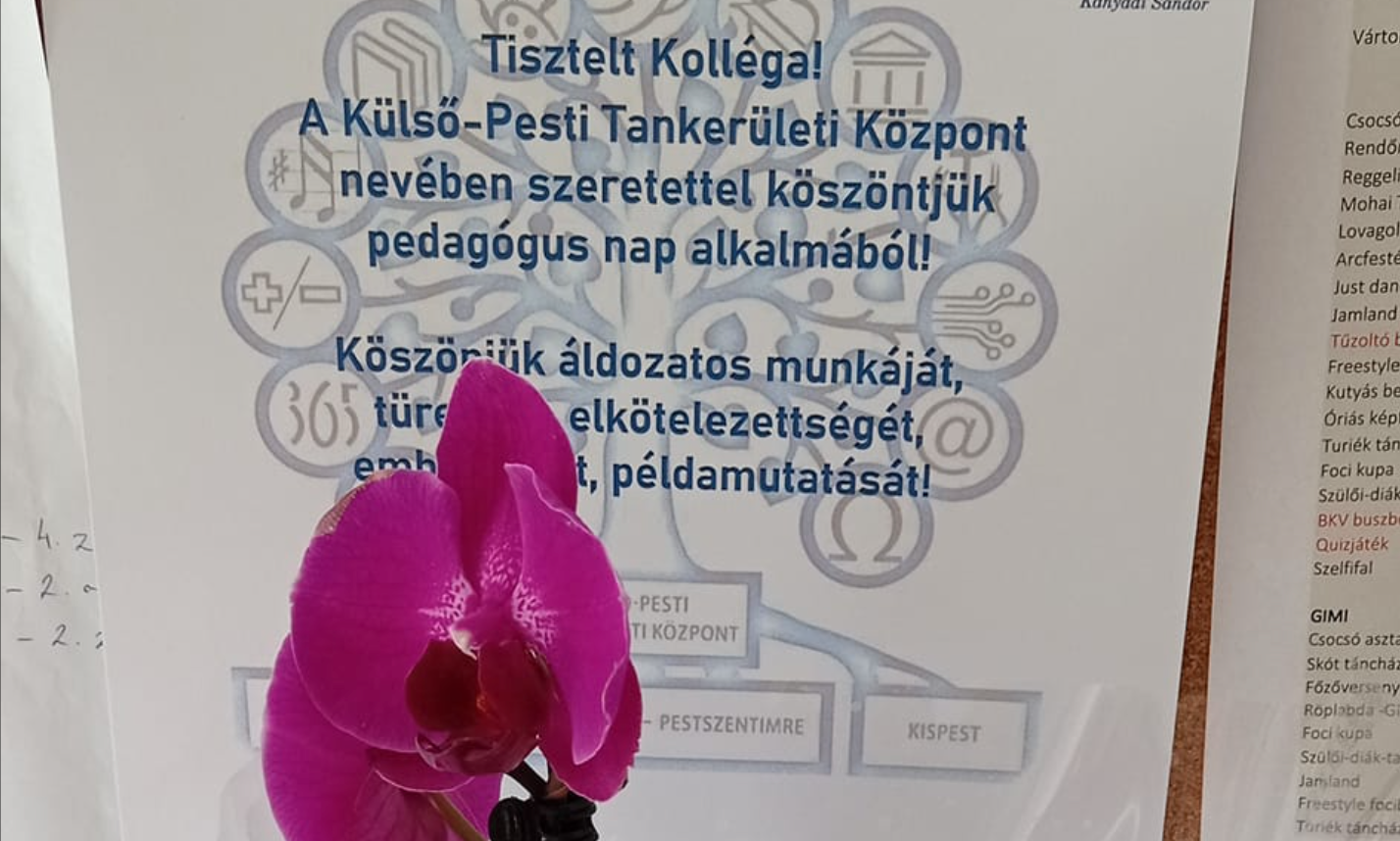 Egy darab cserepes virágot kapott pedagógusnapra 70 tanár a tankerülettől