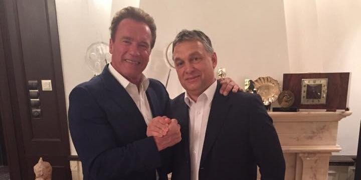 Schwarzenegger szerint vér tapad a kezünkhöz, ha Oroszországtól vesszük az üzemanyagot