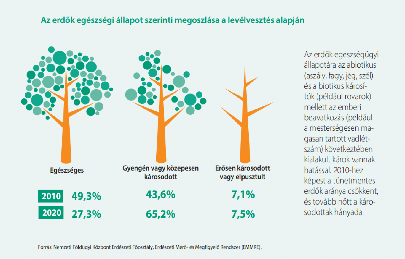 Az erdőink egyre betegebbek, viszont az akkumulátor gyártás csúcsra jár...