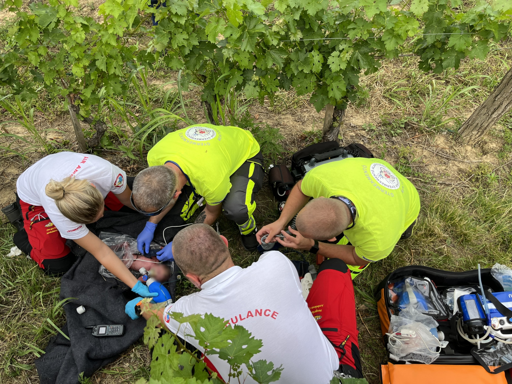 Horvátország átadta a magyar rendőrségnek azt a nőt, aki a márfai szőlőhegyen megszülte és magára hagyta gyermekét
