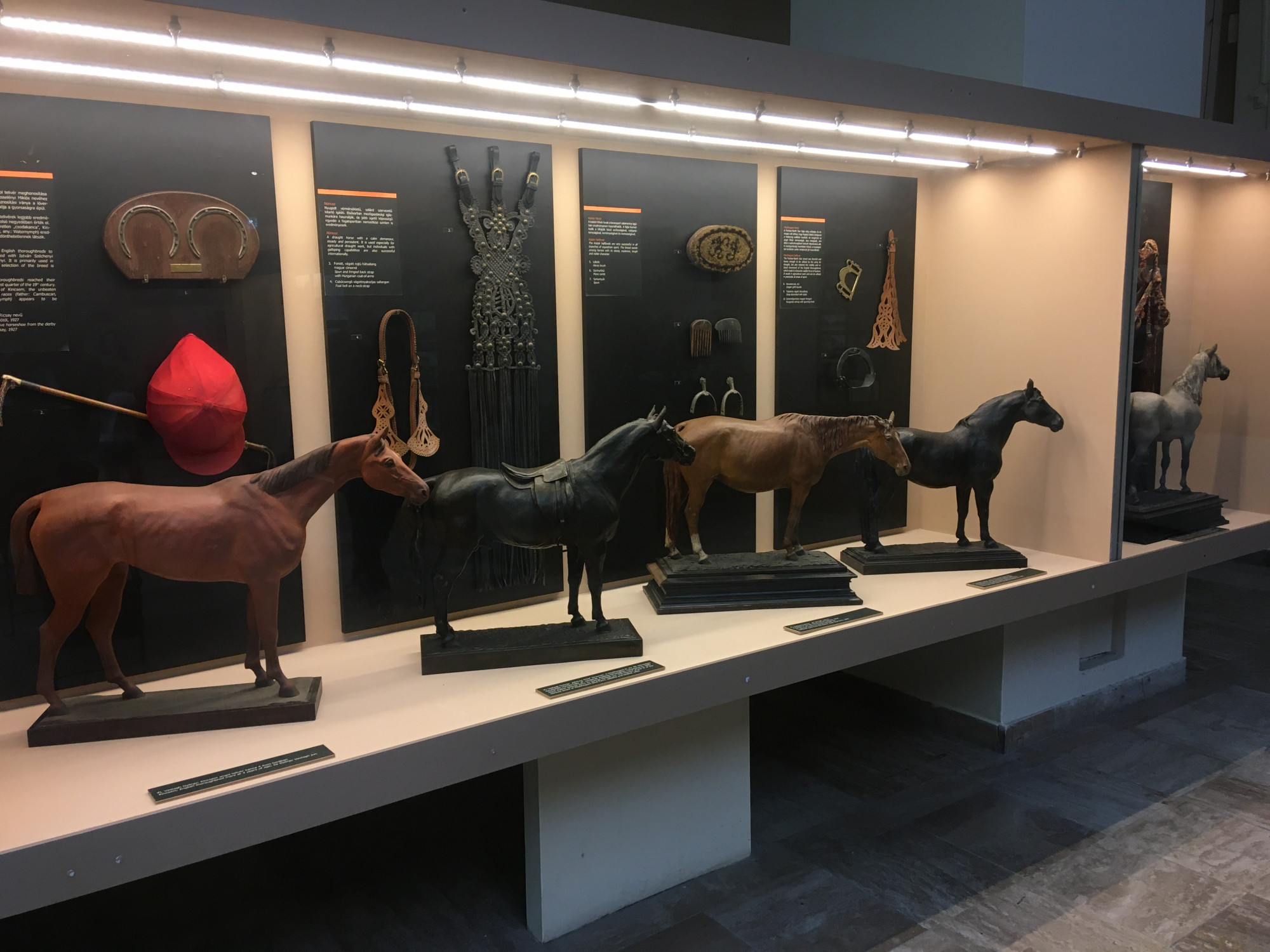 Kincsem és a hagyományos lófajták szobrai a magyar agrárium történetét részletesen és látványosan bemutató, évtizedekkel ezelőtt létrehozott állandó kiállítás egyik tárlójában