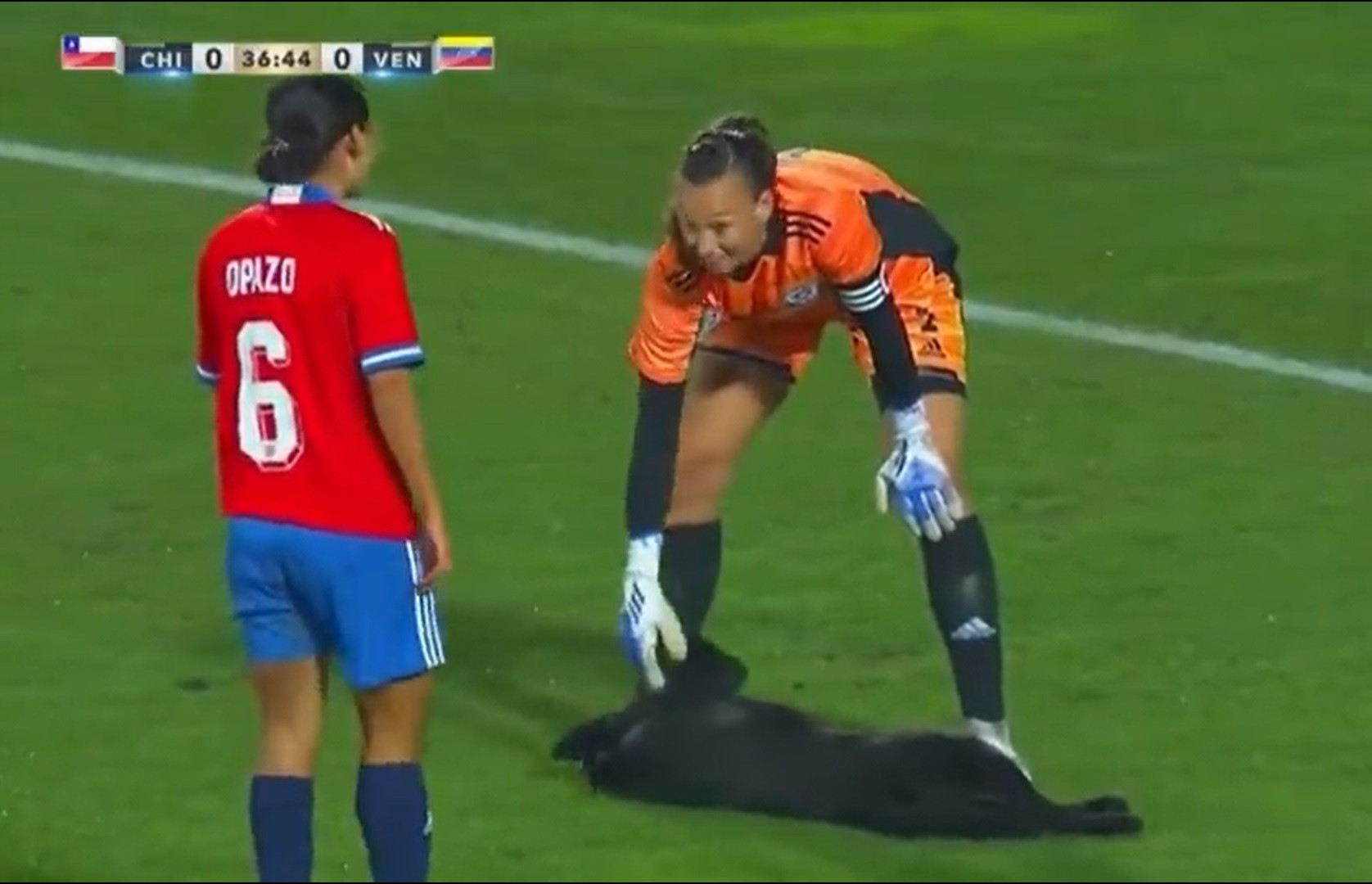 Fekete kutya rohant be a pályára Chile és Venezuela női fociválogatottjainak barátságos meccsén