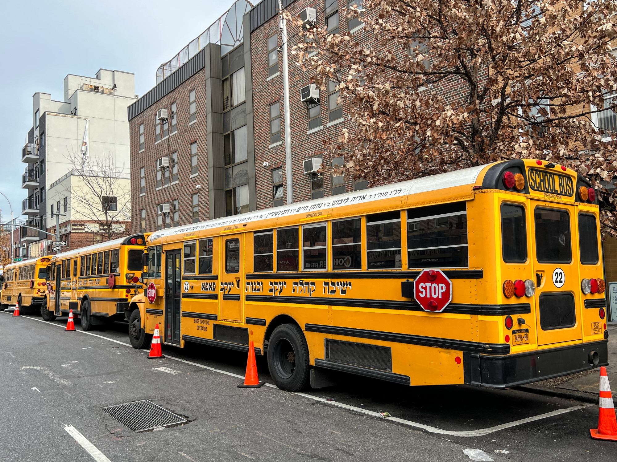 Brooklyn ultraortodox környékein hemzsegnek a héber betűkkel feliratozott iskolabuszok, amik naponta több tízezer haszid diákot szállítanak a helyi jesivákba.