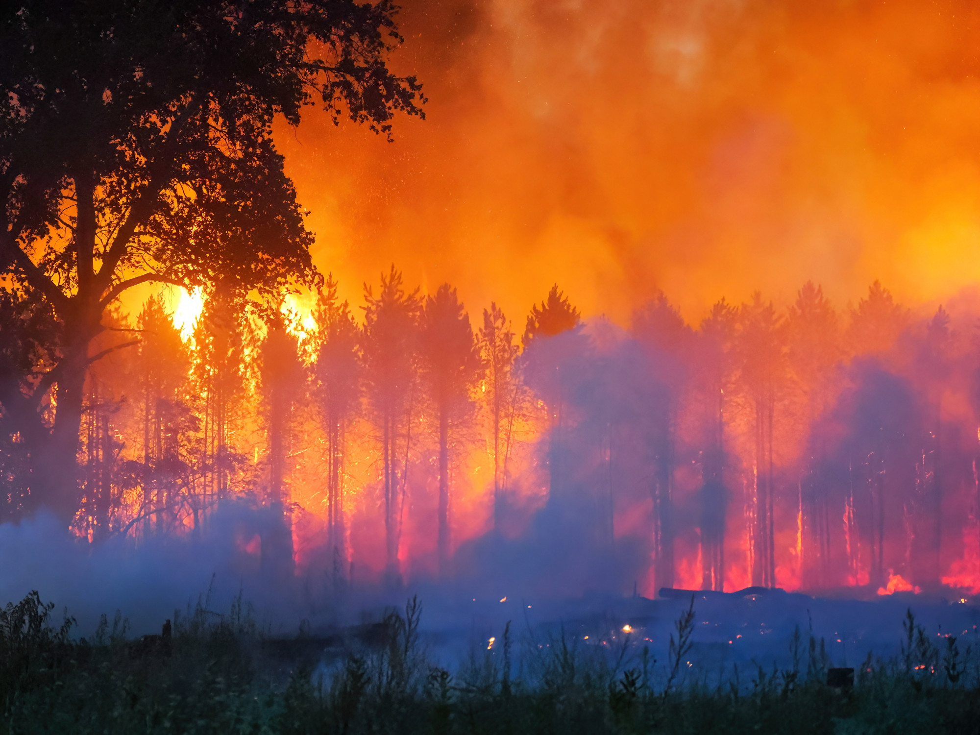 Soltszentimre, 2022. július 14., Tűzoltók oltják 2022. július 13-án az Izsák és Soltszentimre közötti erdőben délután keletkezett tüzet