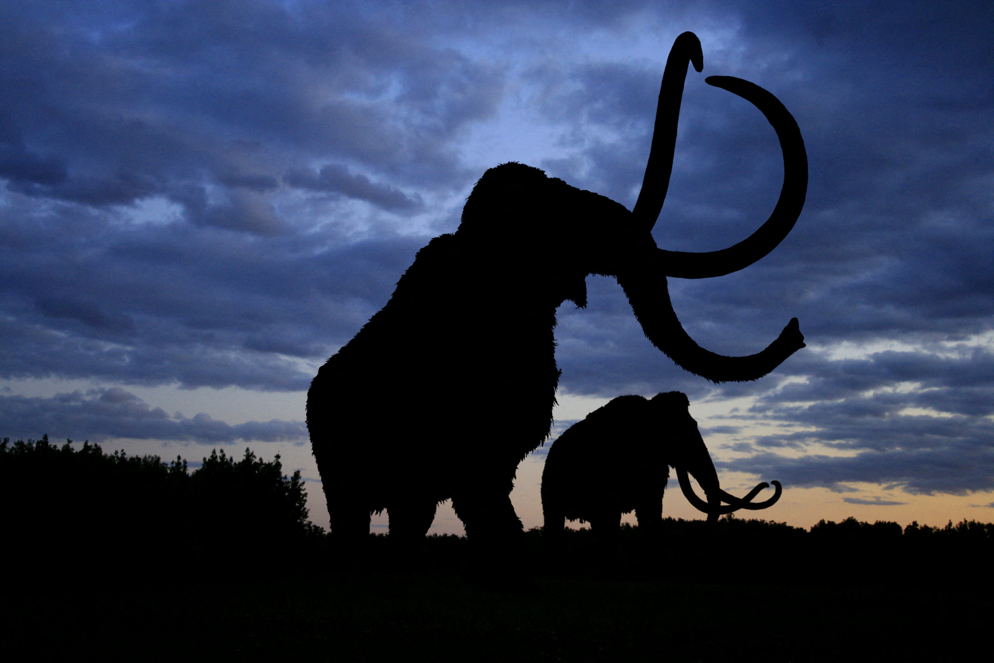 Baranyában akadtak mamutmaradványra