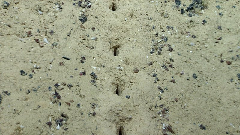Rejtélyes lyukakat fedeztek fel az Atlanti-óceán mélyén