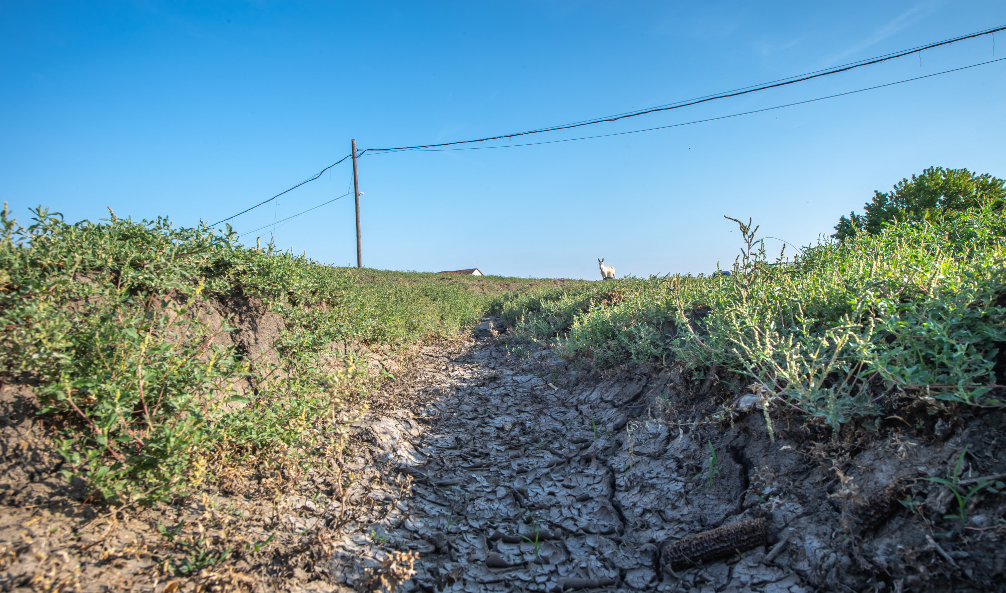 Átfogó kutatás bizonyítja a vizes élőhelyek aszályelhárító hatását