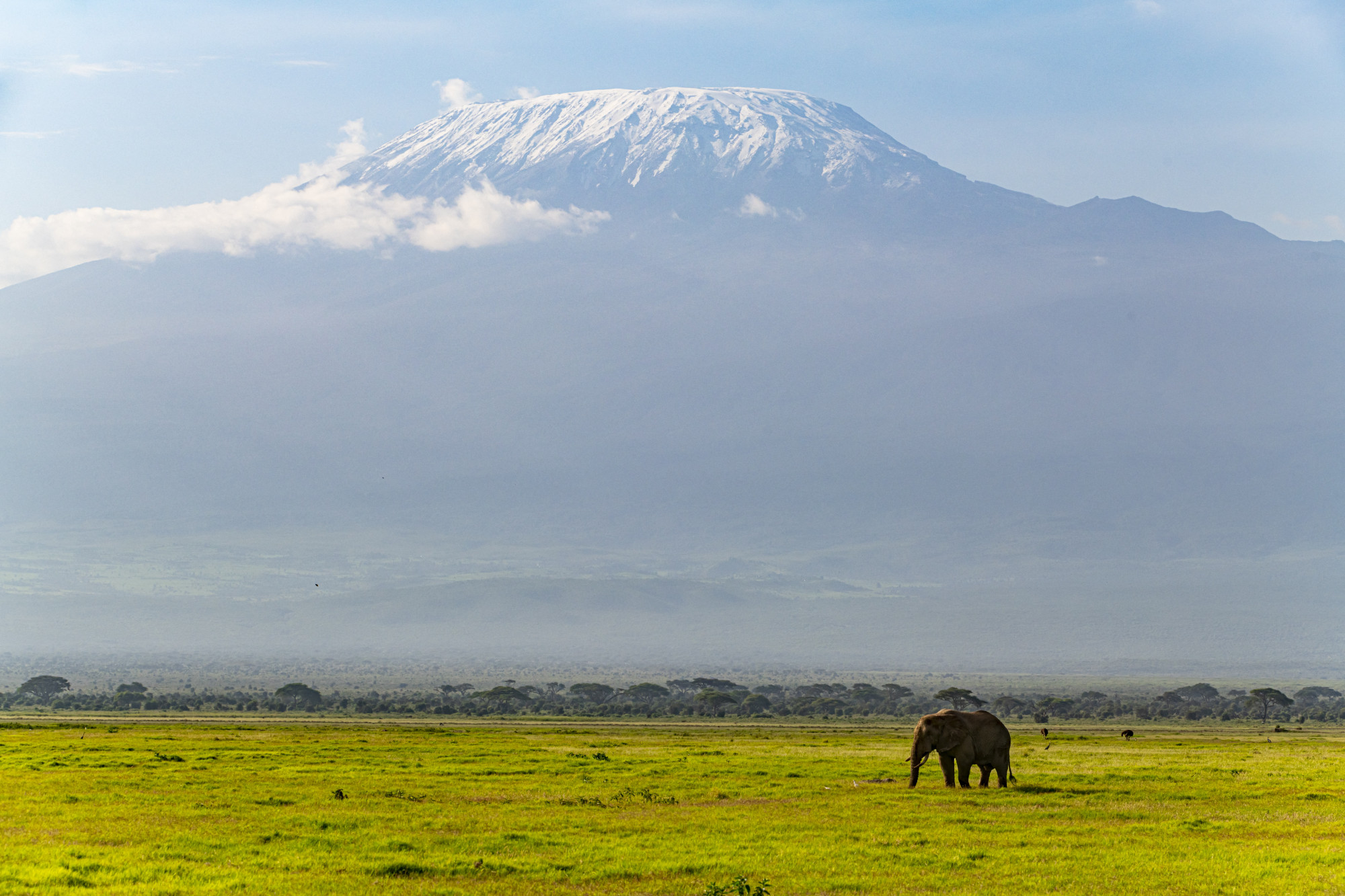 Mostantól a Kilimandzsárón is szélessávú internettel lehet instázni
