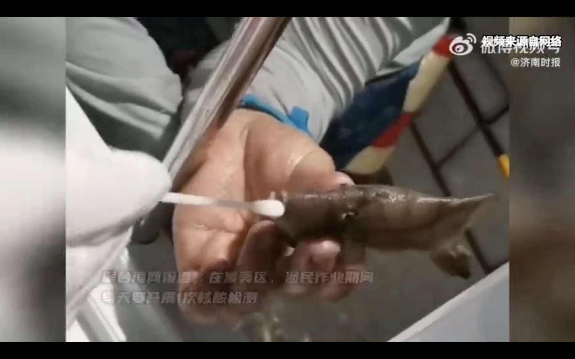 Már a halakat is tesztelik covidra egy kínai városban