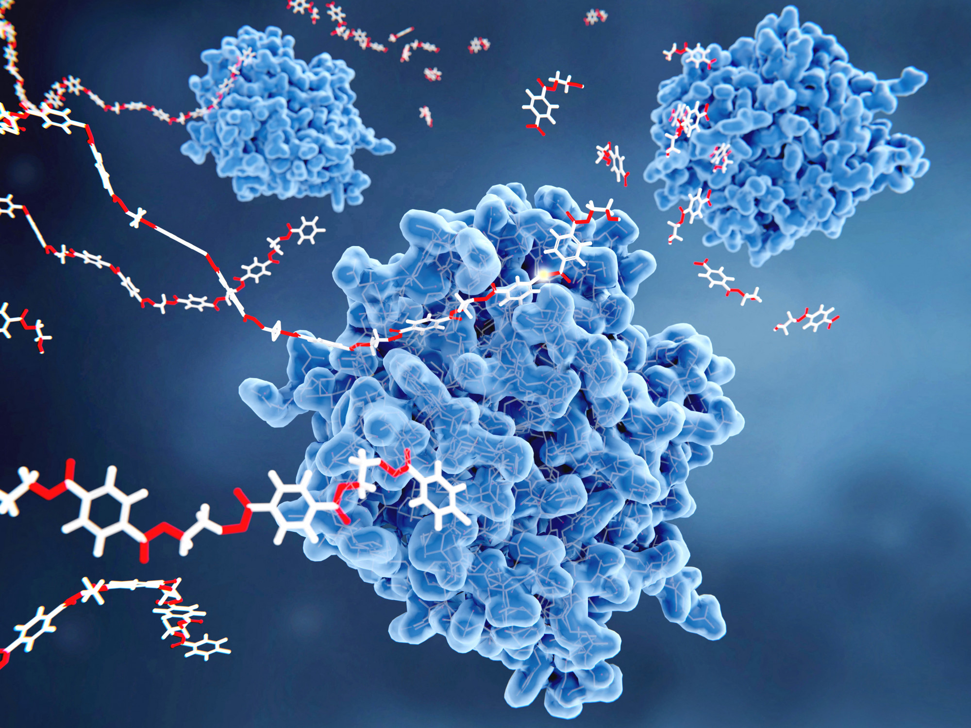 PETáz enzimek (kékkel) monomer molekulákká (jobbra fent) alakítják a polietilén tereftalát (PET)-műanyagokat (pirossal és fehérrel jelölve, a kép bal oldalán). A lebontási folyamat tereftálsavat és etilénglikolt eredményez, ezek a környezetre nézve ártalmatlan anyagok.