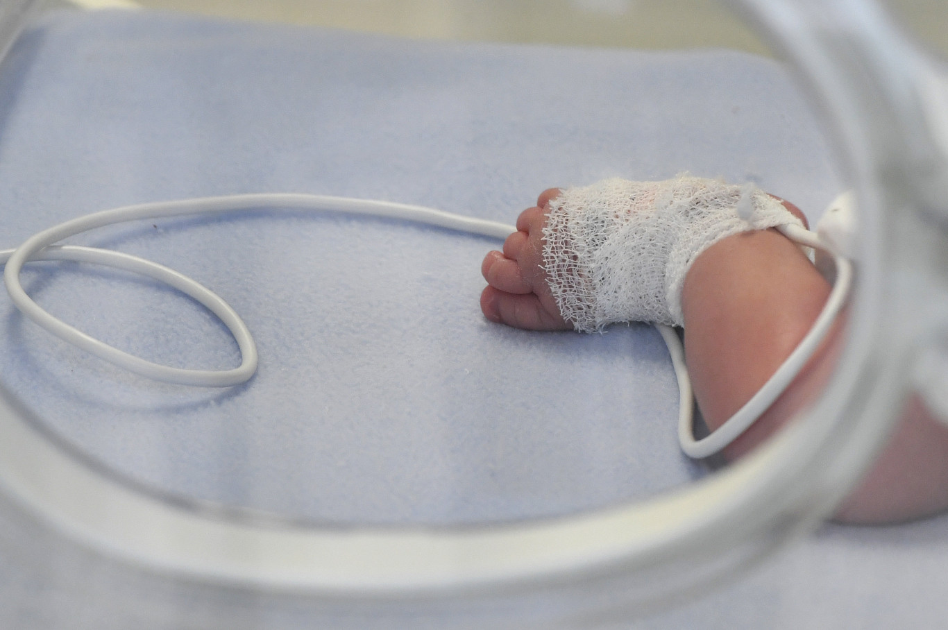 Népszava: 30 magára hagyott csecsemőt gondoznak a miskolci kórházban