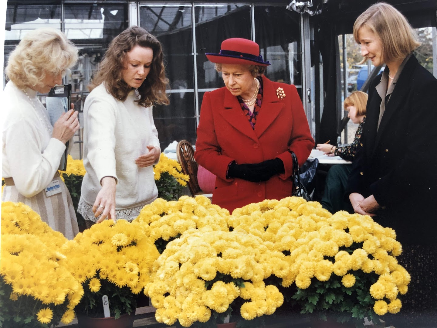 A királynő a krizantémról tanul az Országos Mezőgazdasági Botanikai Intézet (NIAB) munkatársaitól 1994-ben
