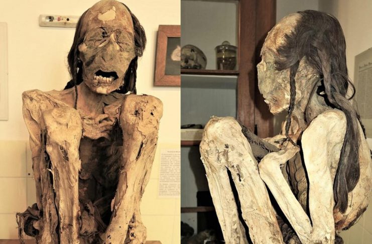 A fiatal chilei múmia