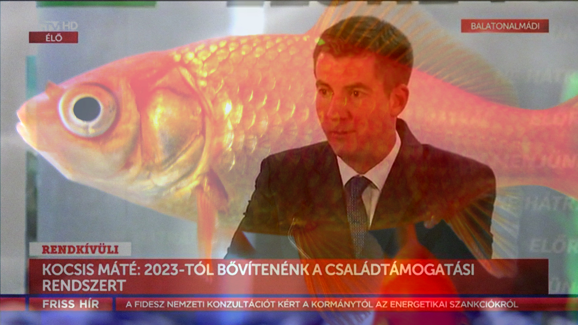 A Fideszt sem kíméli a válság, ki kellett lakoltatni Kocsis Máté aranyhalait