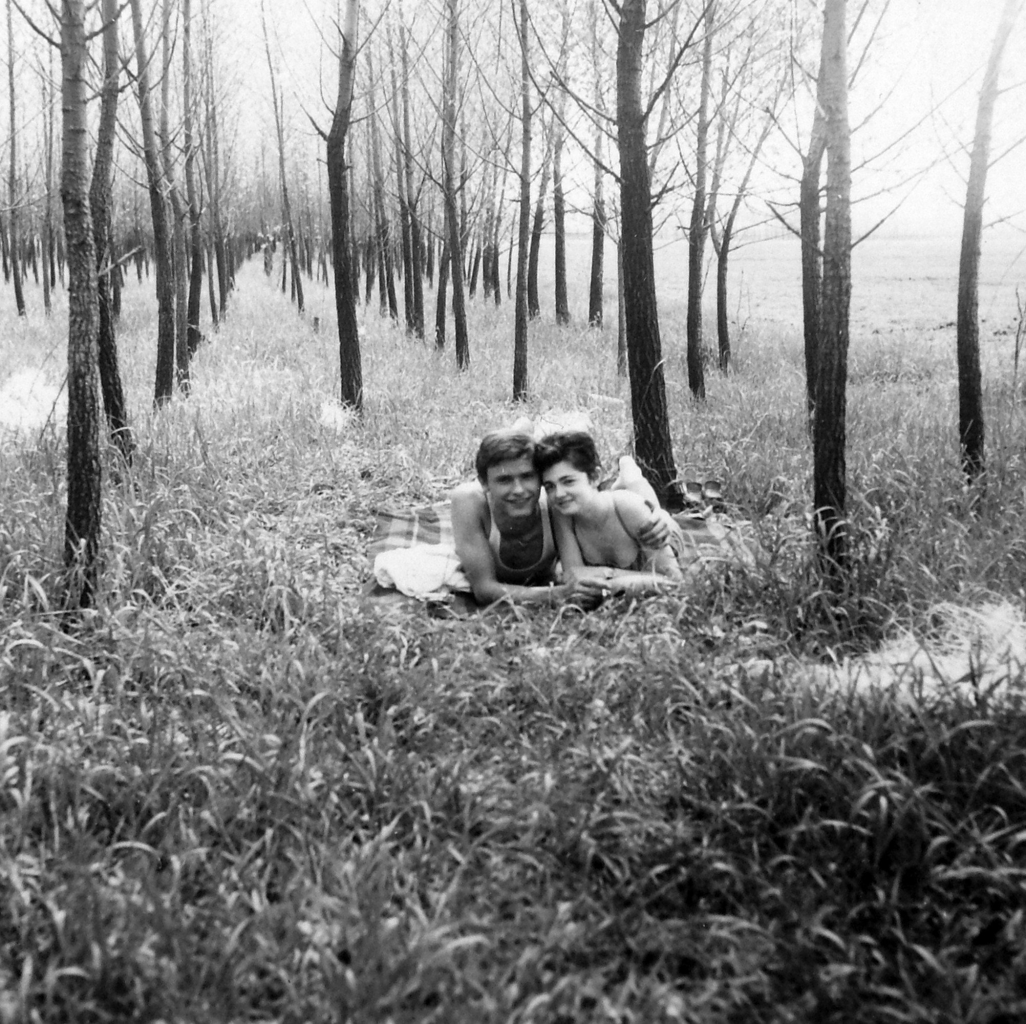 Vannak, akik a nemes nyár ültetvényekben is örömüket lelik, mint ezen az 1970-es évek eleji fotón, de ezek nem igazi erdők.