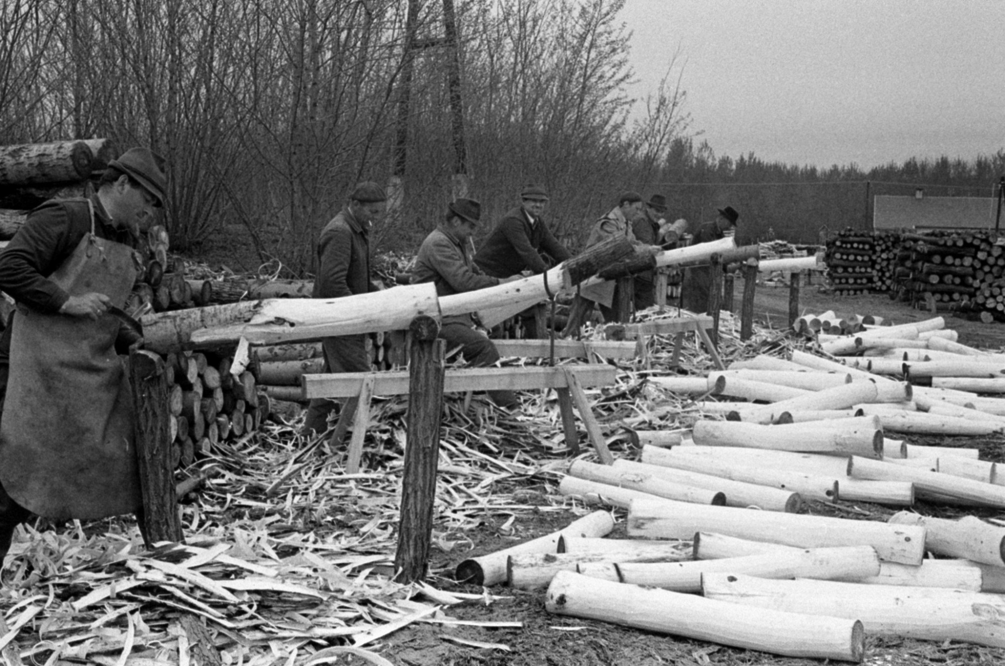 A Nagykunsági Állami Erdőgazdaság fagyártmány üzeme Mikebudán 1970-ben.