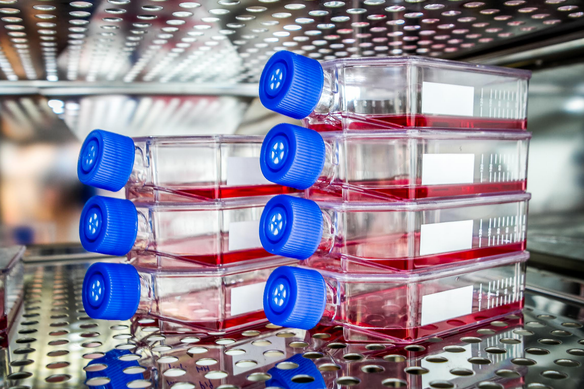 Forradalmian új onkológiai tesztet vezet be a Neumann Labs