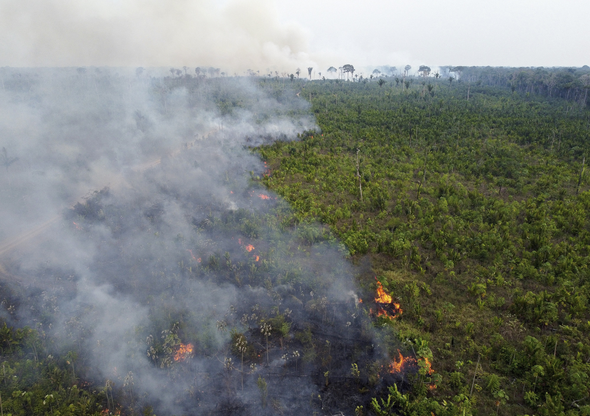 Tíz éve nem égett annyi erdő Brazíliában, mint idén szeptemberben