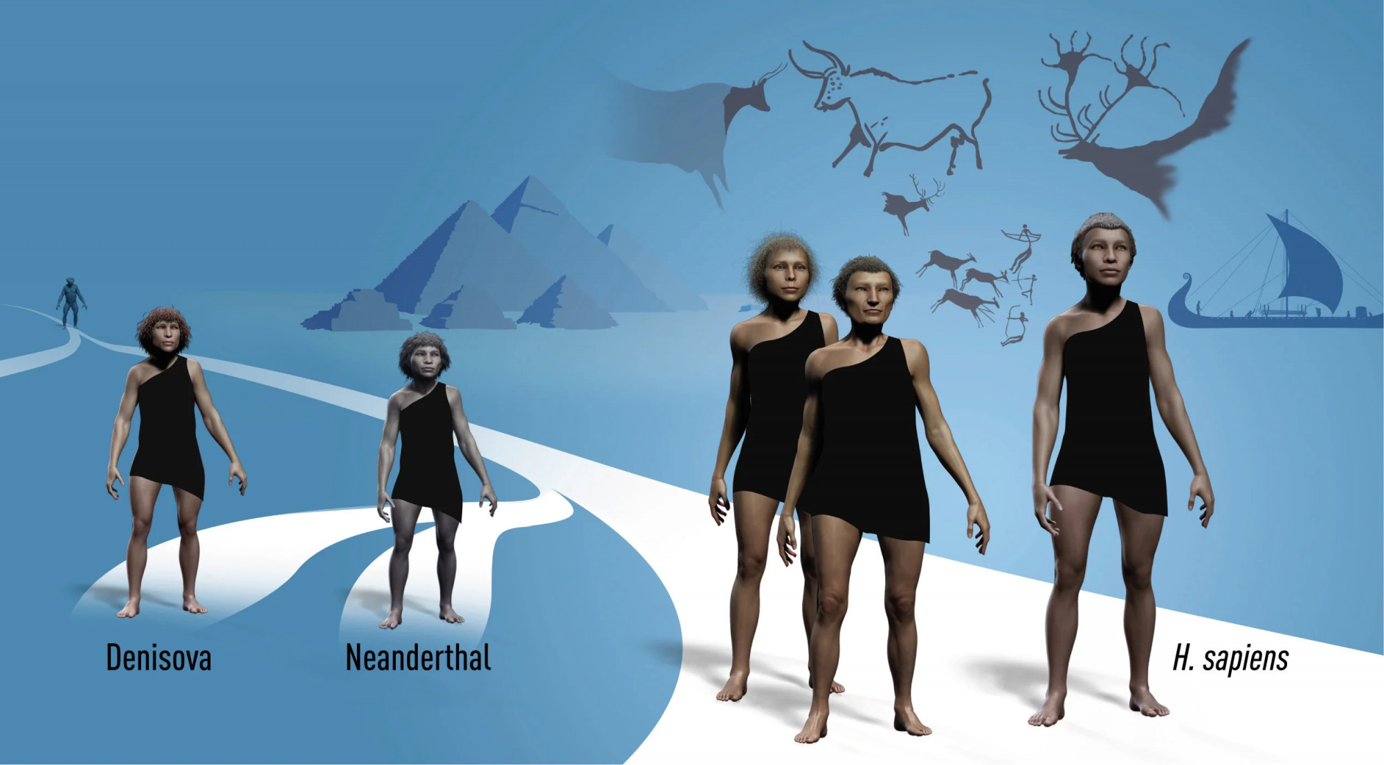 Az emberi evolúció lépcsőfokai: a gyenyiszovai és a neandervölgyi ember, valamint a Homo sapiens