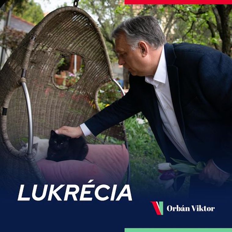 Orbán Viktor egy csokor tulipánnal a kezében megsimogatott egy fekete macskát