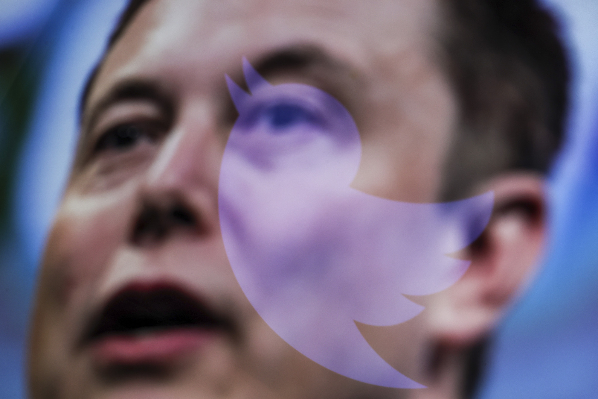 Sokak szerint katasztrófa lenne, ha a Twitter Elon Musk tulajdonába kerülne
