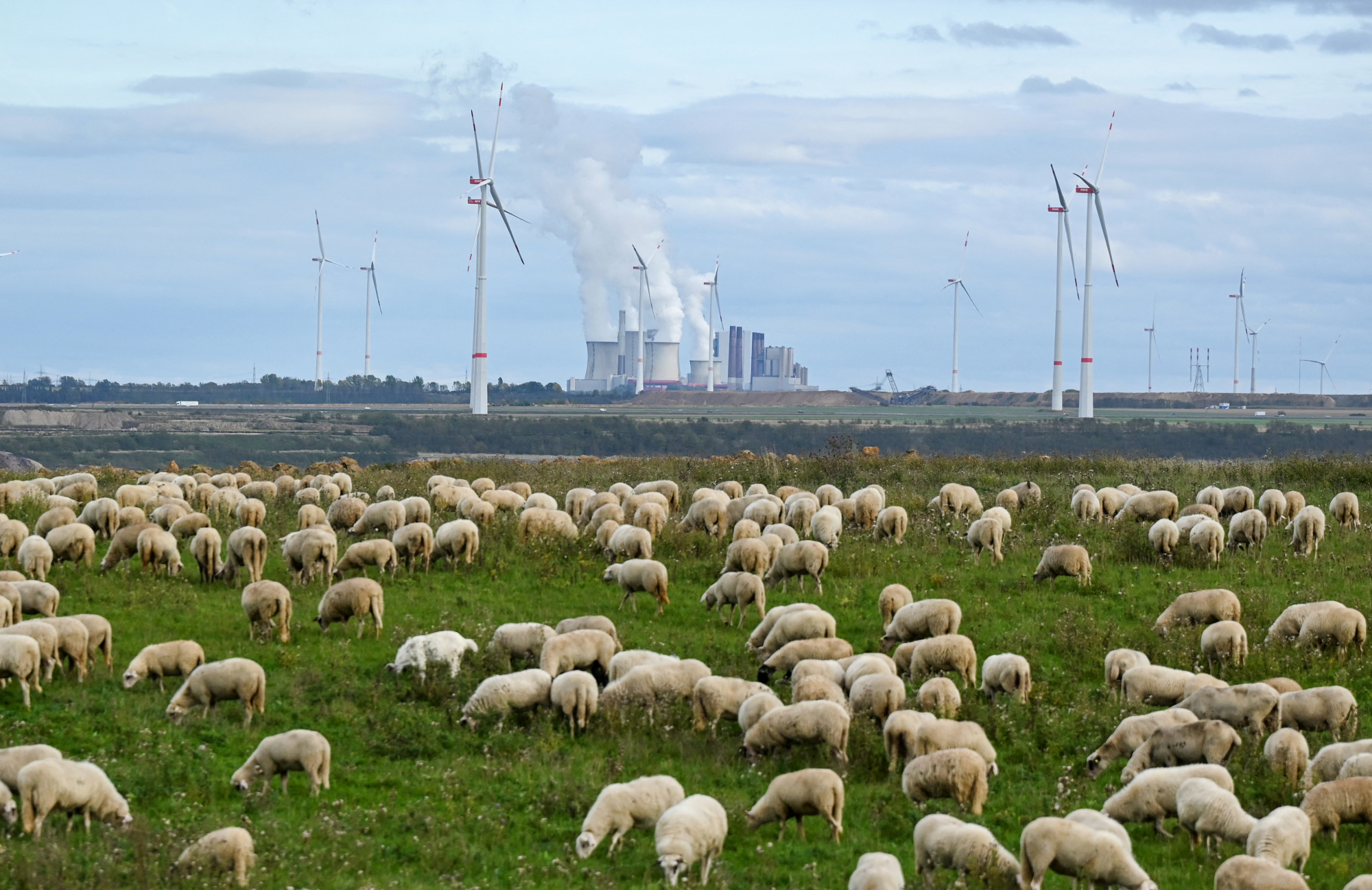 Az uniós országok többségében nagyot nőtt a megújuló energia aránya, Magyarország egy helyben topog