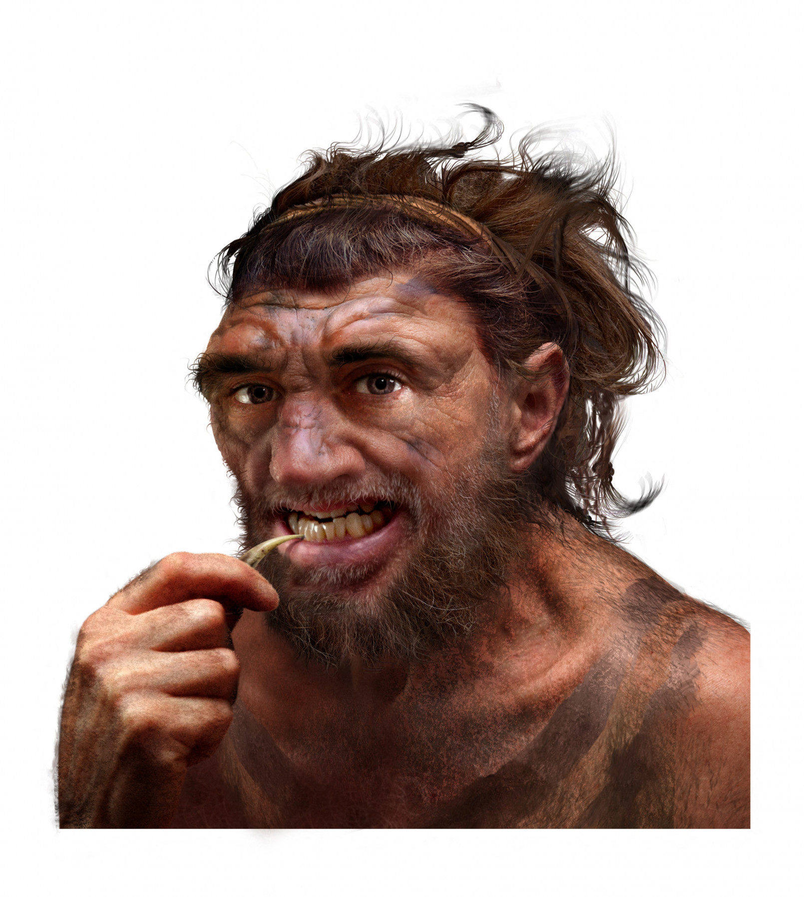 A húst megették, a vért és a csontot nem szerették a neandervölgyiek