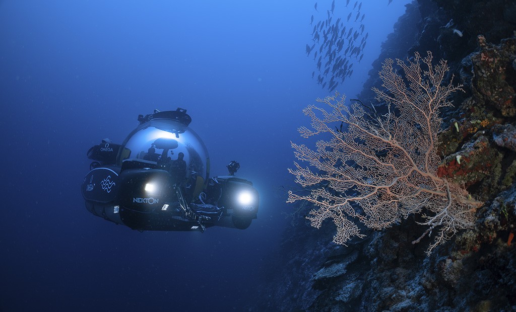 Eddig ismeretlen tengeri ökoszisztémát fedeztek fel a Maldív-szigeteknél