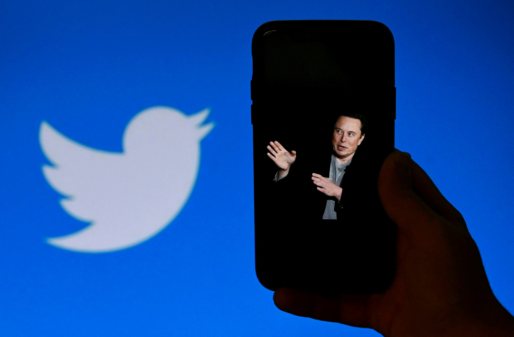 Havi húsz dollárt kérne az exkluzív Twitterért Elon Musk