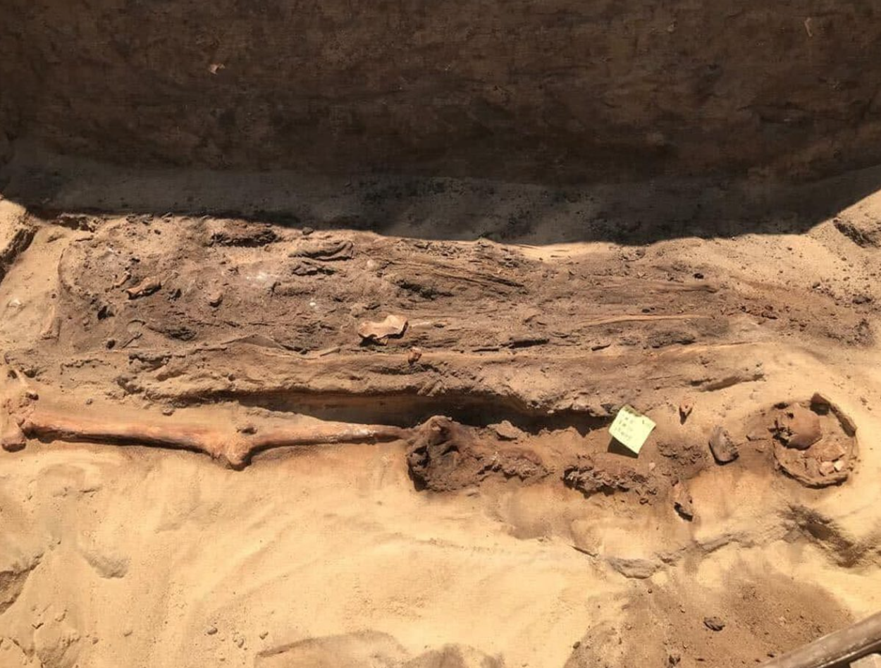 Aranyból készült nyelvvel beszédképessé tett múmiákat találtak a Nílus-deltában