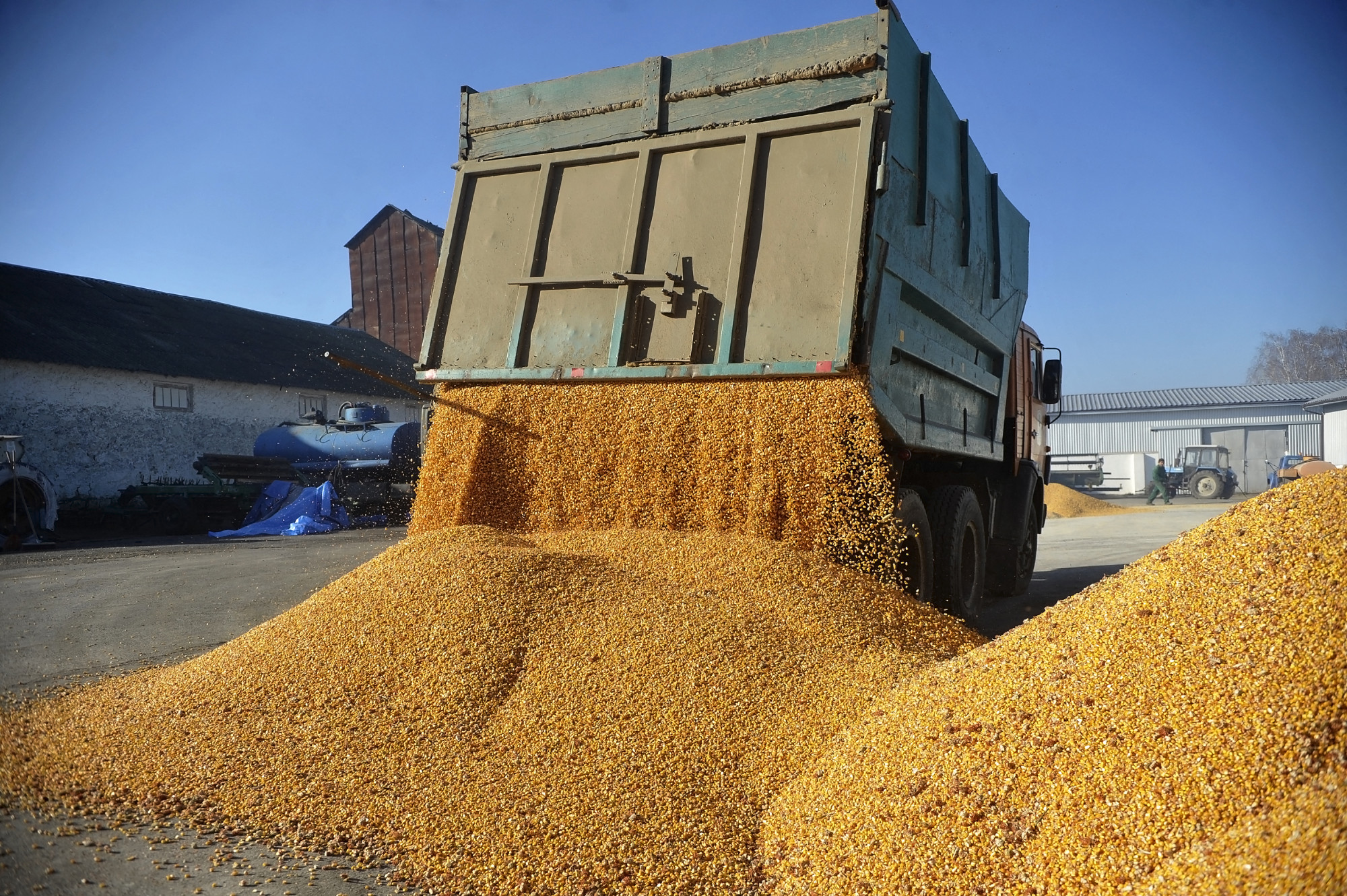 Nemzetközi programmal juttatják el az ukrán gabonát a legszegényebb afrikai országokba