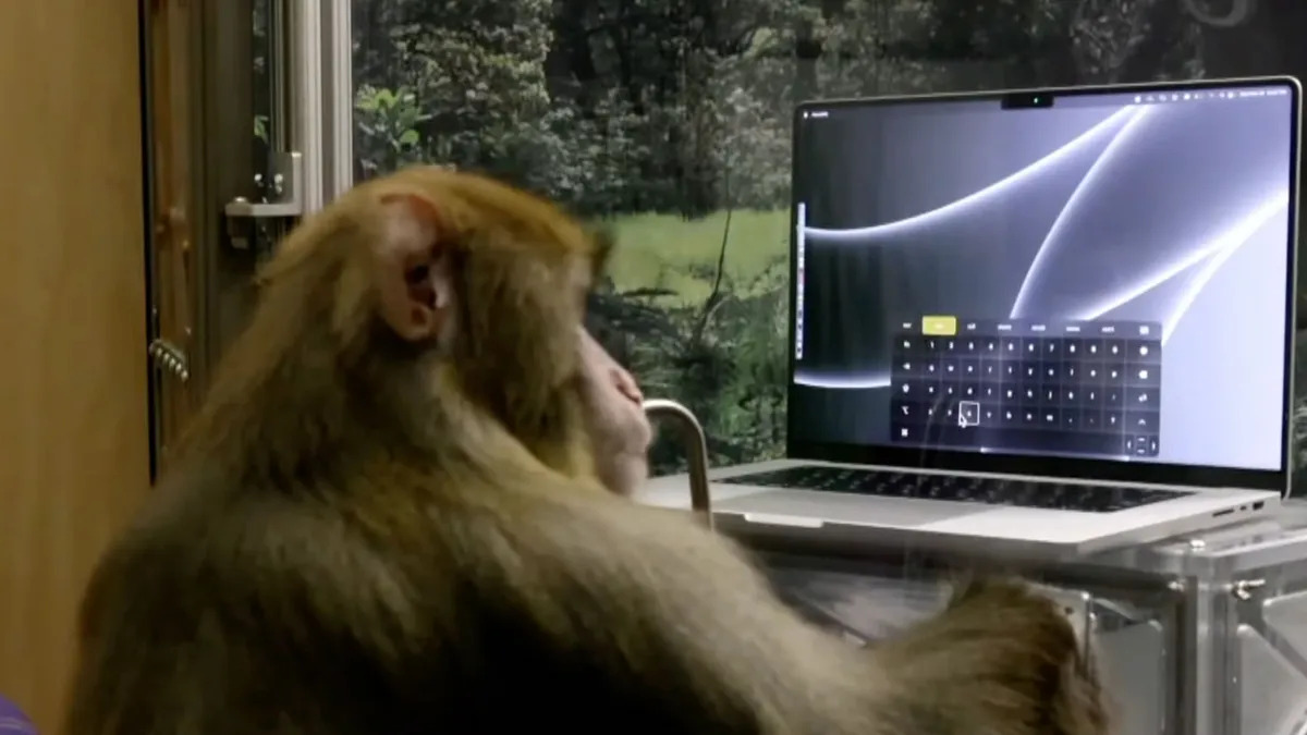Sake, a Neuralink kísérleti majma kurzort irányít a gondolataival, hogy az előre kijelölt betűkhöz irányítsa, és mondatokat gépeljen be érintés nélkül