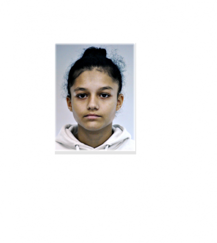 Eltűnt egy tizenöt éves lány Budapest VIII. kerületéből