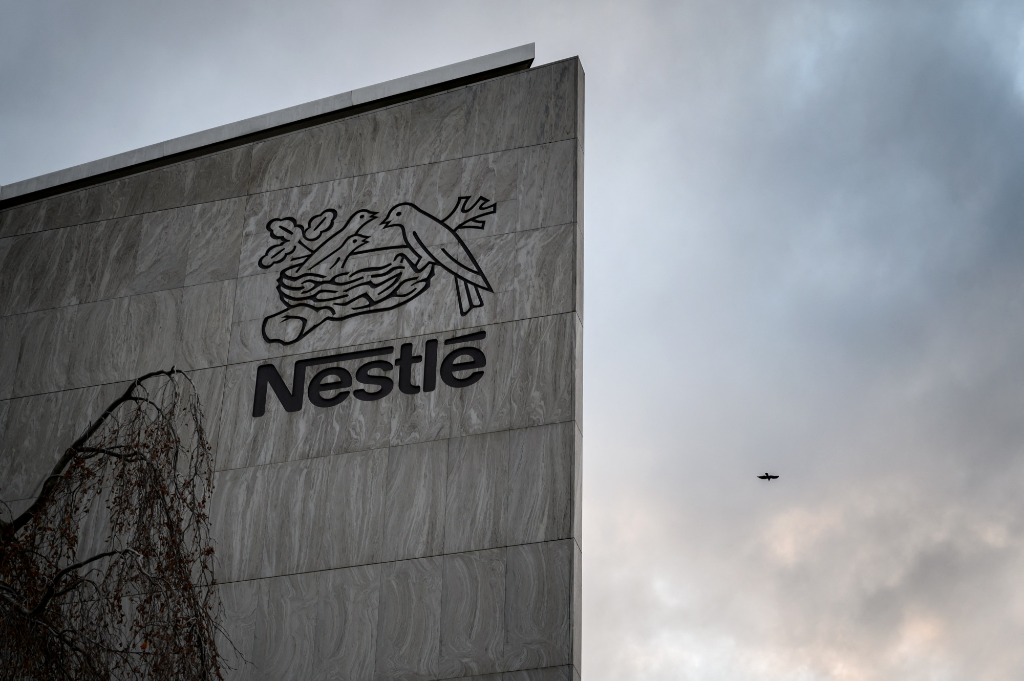 A Nestlé új gyárat létesít Ukrajnában