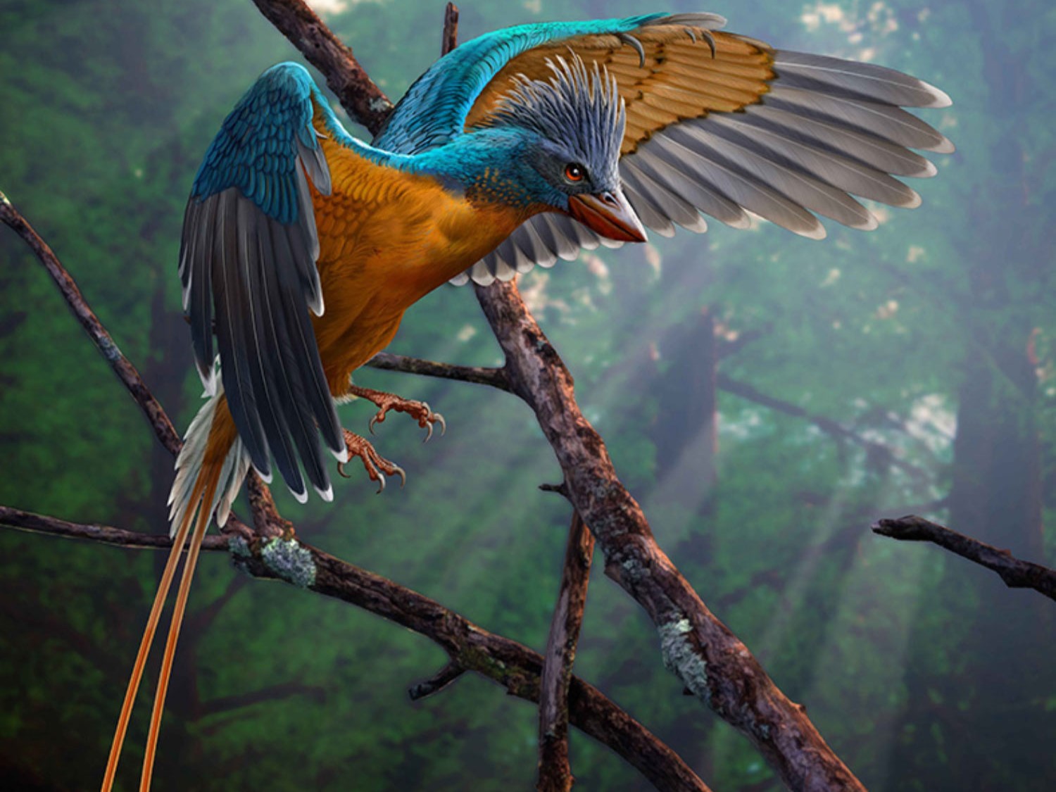 Különleges csontjával küzdötte le a repülés terheit egy 119 milló évvel ezelőtti madár