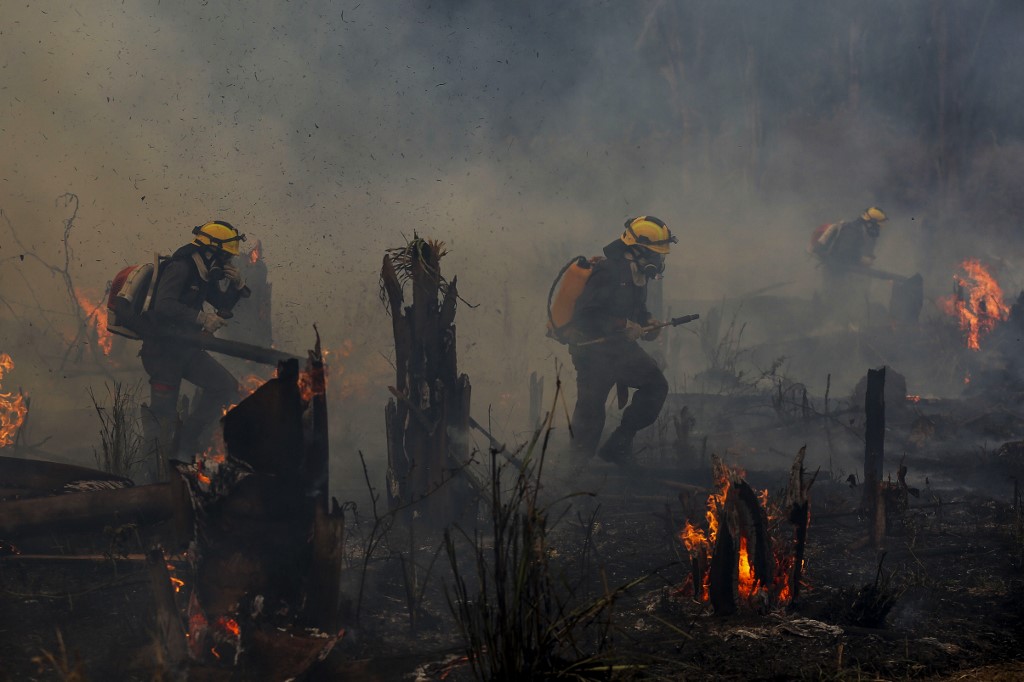 Tűzoltók és önkéntesek oltják az amazóniai esőerdő egy, Apuí közelében kigyulladt területét 2022 szeptemberében