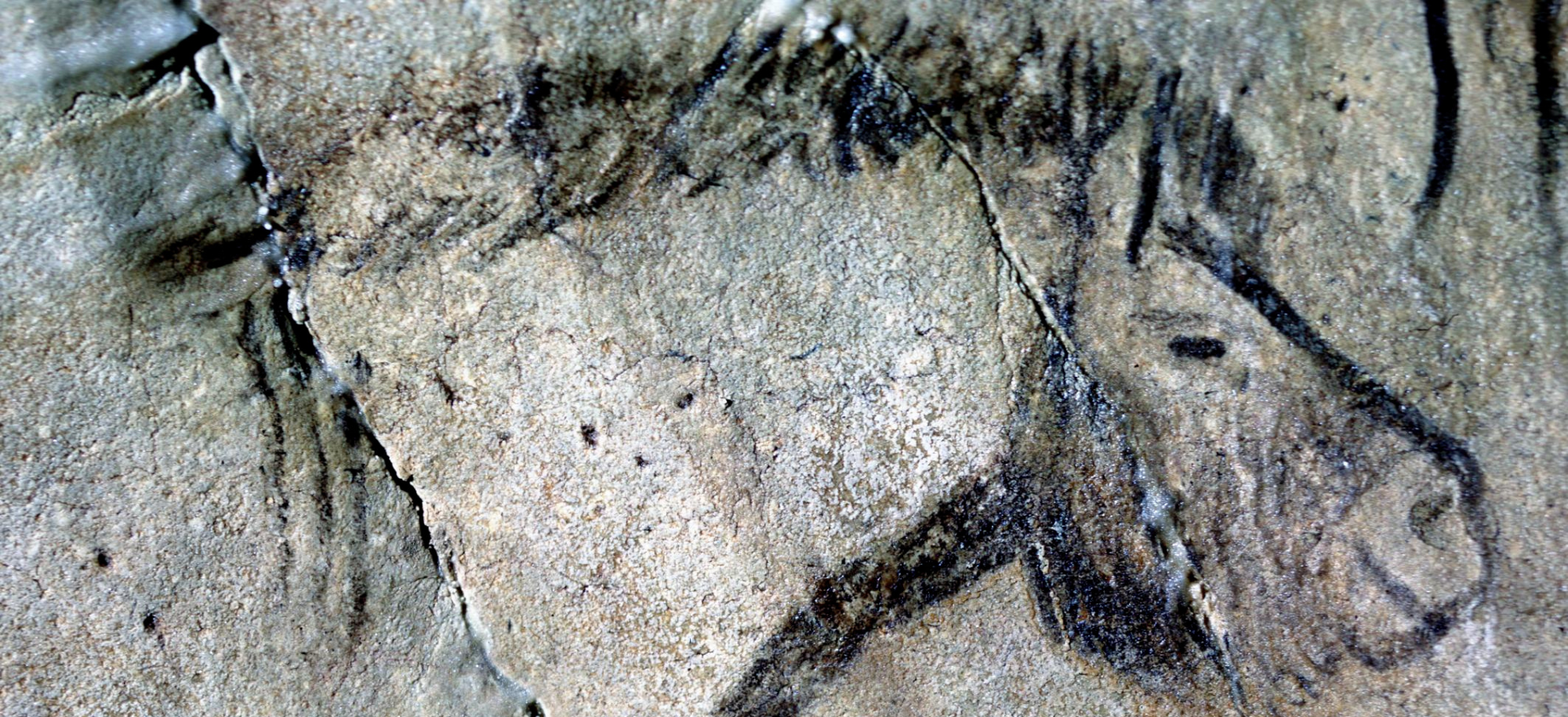 A jégkorszaki barlangrajzok jeleit fejtette meg egy brit kutatócsoport