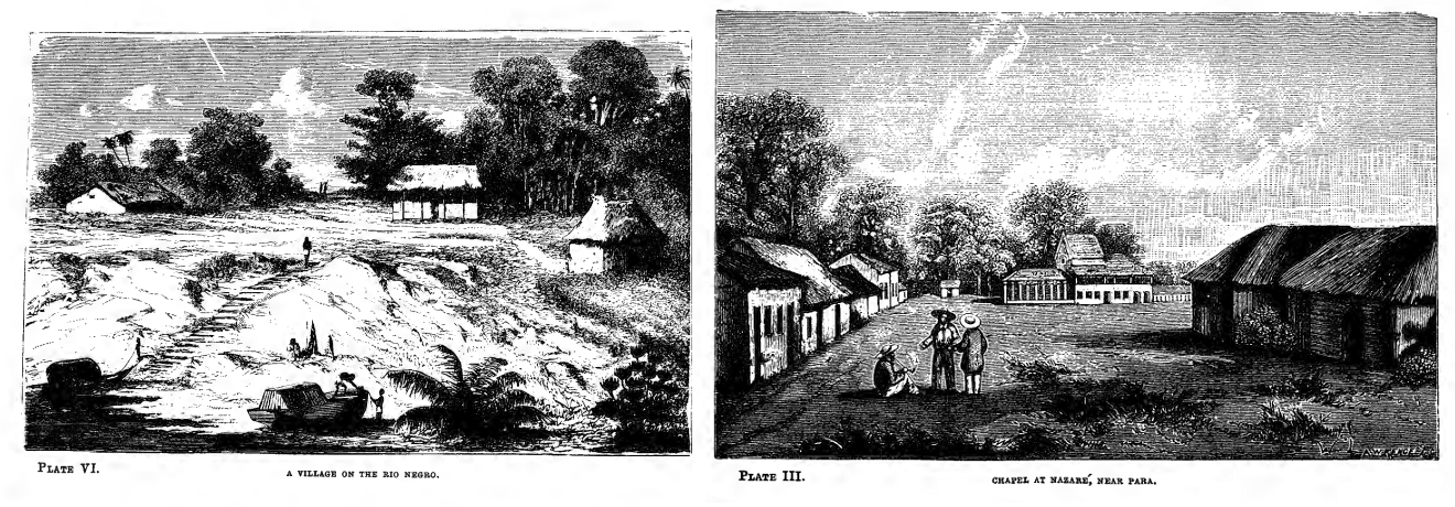 Illusztrációk a brazíliai utazást feldolgozó 1853-as könyvből: falu a Rio Negro partján (balra), illetve a Wallace-ék szállásául szolgáló ház a brazil Nazaré falujában, egy kápolnával szemben (jobbra)