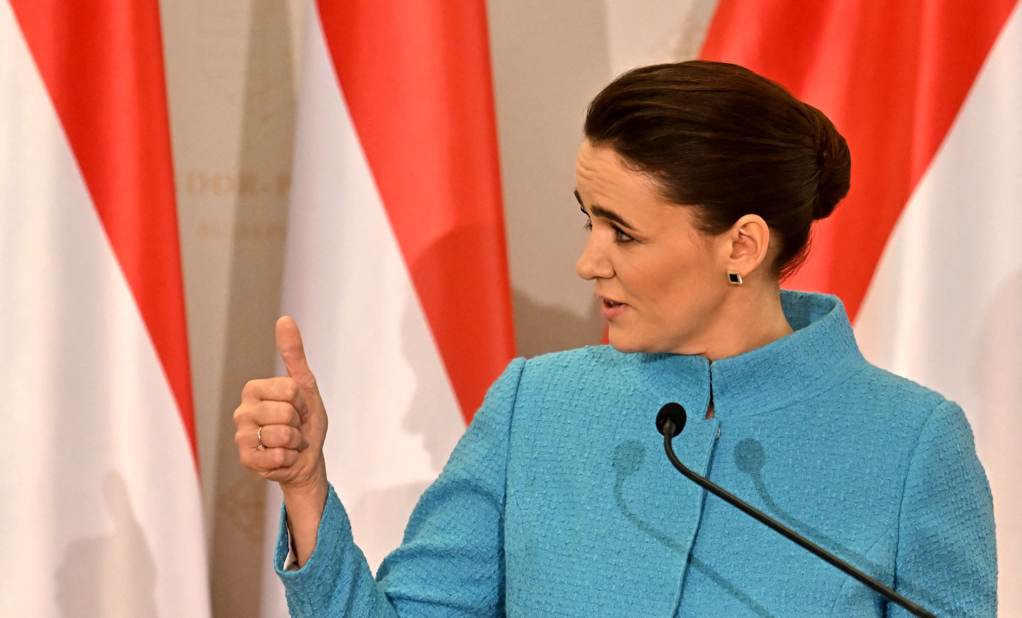 Novák Katalin nem írja alá a magyar életmód védelméről szóló törvényt