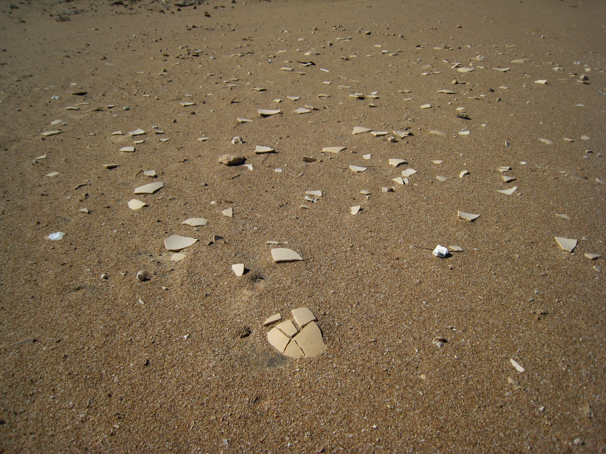 Elefántmadár tojások maradványai madagaszkári homokdűnék között