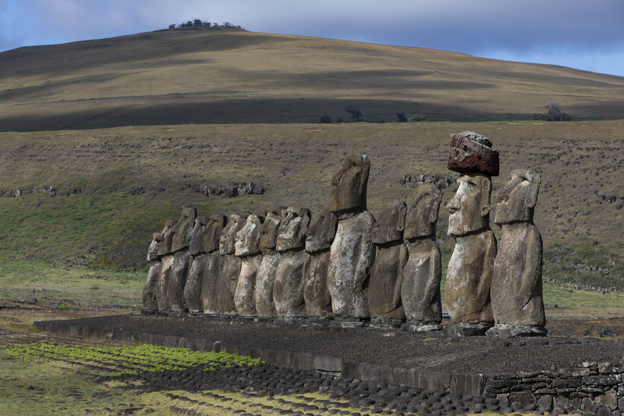 Egy új moai-szobrot találtak a Húsvét-szigeten