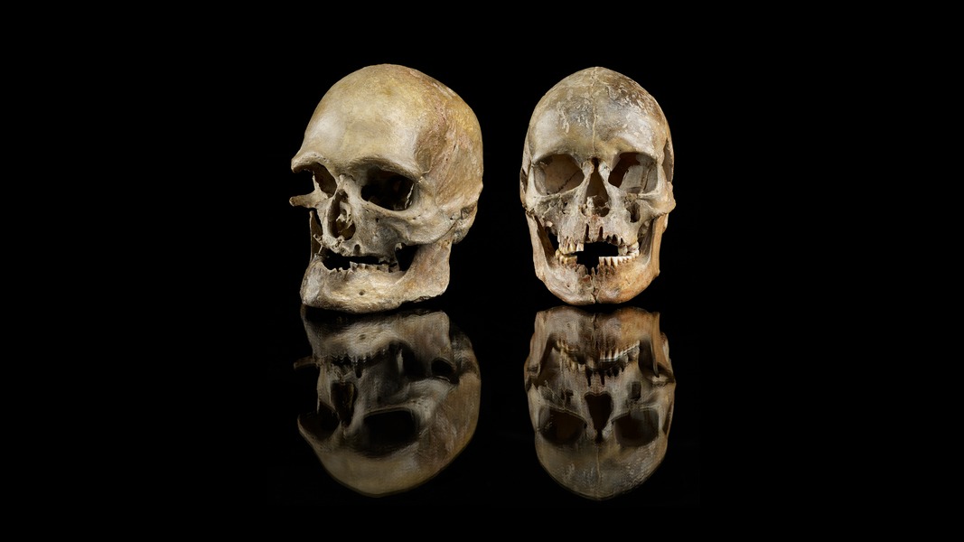 Ezt a férfi és női koponyát Németország nyugati részén találták, pedig genetikailag déli emberekhez tartoznak. Ezt tartják a klímaváltozás okozta vándorlás egyik legősibb bizonyítékának.