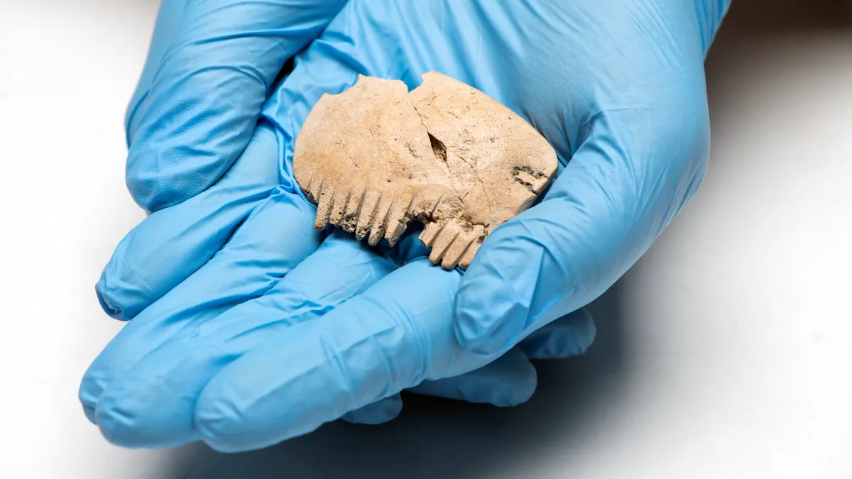 Koponyából készült vaskori fésűt találtak Angliában
